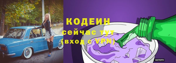 бошки Бородино