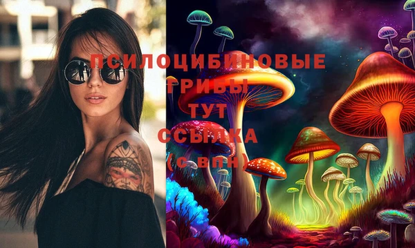 дживик Белокуриха