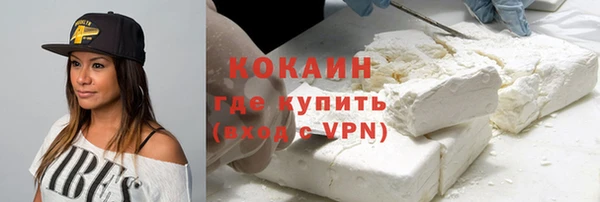 сатива Балахна